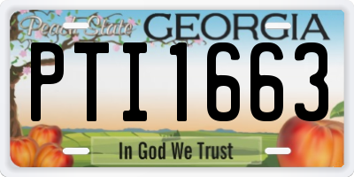 GA license plate PTI1663