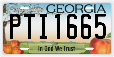 GA license plate PTI1665