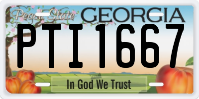 GA license plate PTI1667