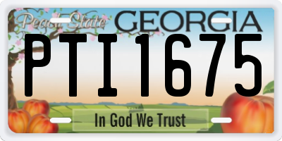 GA license plate PTI1675