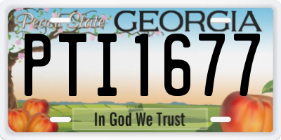 GA license plate PTI1677