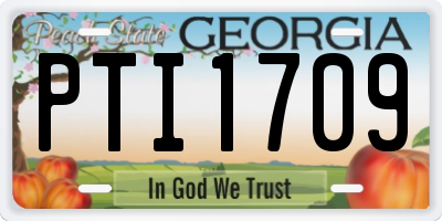 GA license plate PTI1709