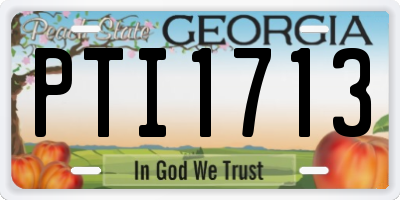 GA license plate PTI1713