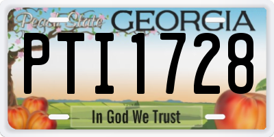 GA license plate PTI1728