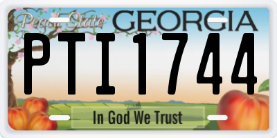 GA license plate PTI1744