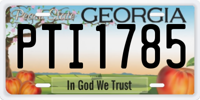 GA license plate PTI1785