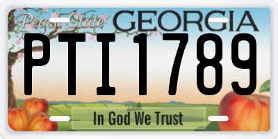 GA license plate PTI1789