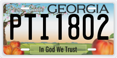 GA license plate PTI1802
