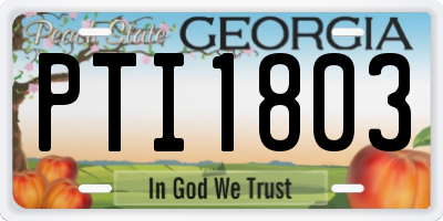 GA license plate PTI1803