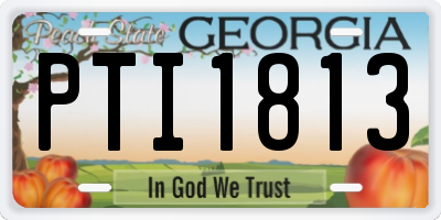 GA license plate PTI1813