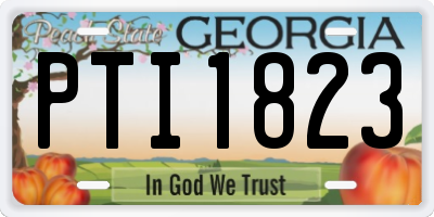 GA license plate PTI1823