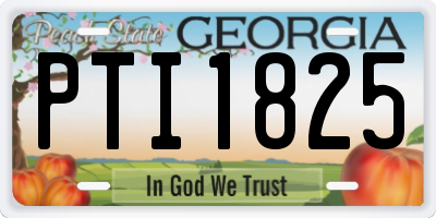 GA license plate PTI1825