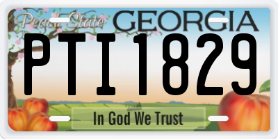GA license plate PTI1829