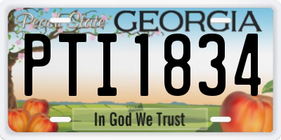 GA license plate PTI1834
