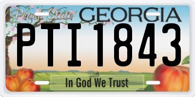 GA license plate PTI1843