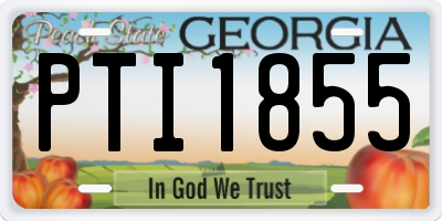 GA license plate PTI1855