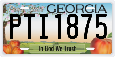 GA license plate PTI1875