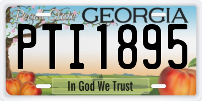 GA license plate PTI1895