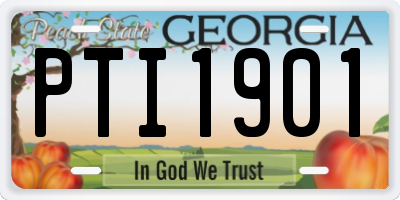 GA license plate PTI1901