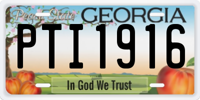 GA license plate PTI1916