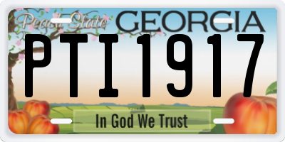 GA license plate PTI1917