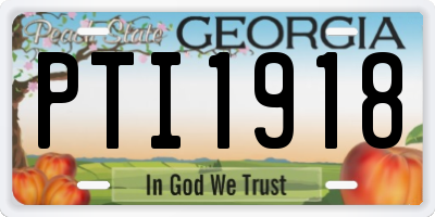 GA license plate PTI1918