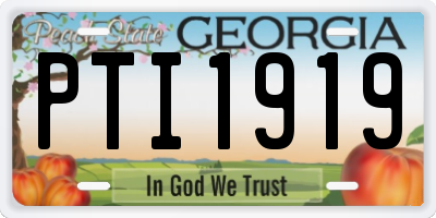 GA license plate PTI1919