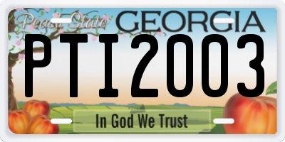GA license plate PTI2003