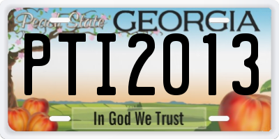 GA license plate PTI2013