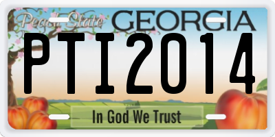 GA license plate PTI2014