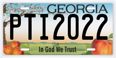 GA license plate PTI2022