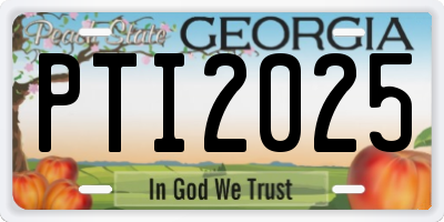 GA license plate PTI2025