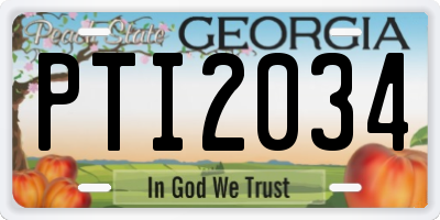 GA license plate PTI2034