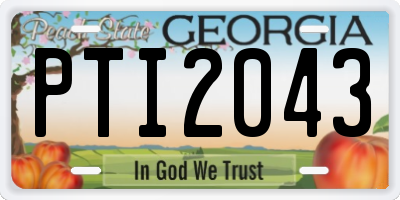 GA license plate PTI2043