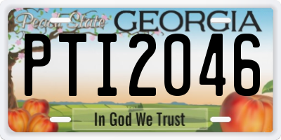 GA license plate PTI2046
