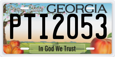 GA license plate PTI2053