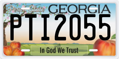 GA license plate PTI2055