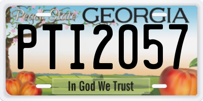 GA license plate PTI2057