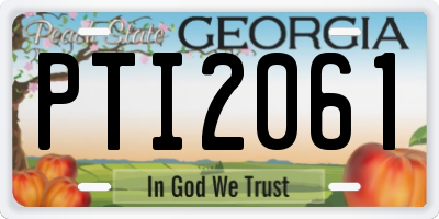 GA license plate PTI2061