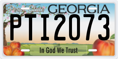 GA license plate PTI2073