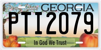GA license plate PTI2079