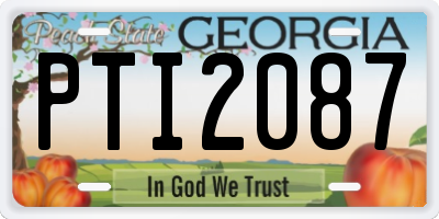 GA license plate PTI2087