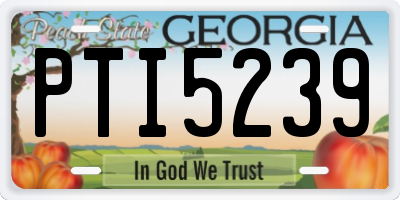 GA license plate PTI5239