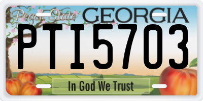 GA license plate PTI5703