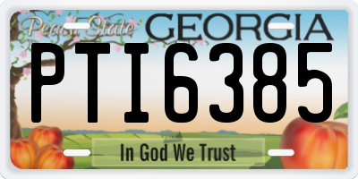 GA license plate PTI6385