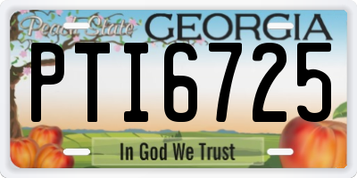 GA license plate PTI6725