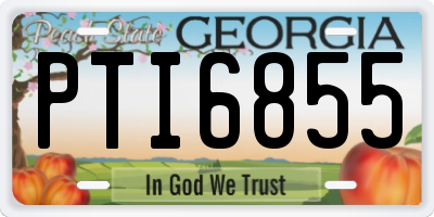 GA license plate PTI6855