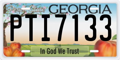 GA license plate PTI7133