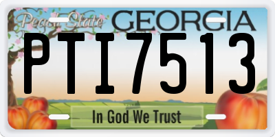 GA license plate PTI7513