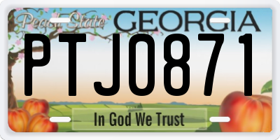 GA license plate PTJ0871